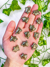 Load image into Gallery viewer, Mini Pyrite Turtle
