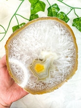 Load image into Gallery viewer, Agate Slab #9