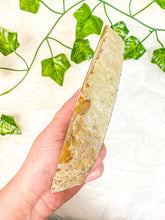 Load image into Gallery viewer, Agate Slab #9