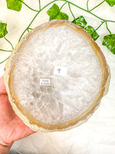 Load image into Gallery viewer, Agate Slab #9