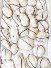 Load image into Gallery viewer, White Druzy Geodes