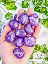 Load image into Gallery viewer, Lepidolite Tumbled Stones