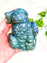 Load image into Gallery viewer, Labradorite Money Toad #2