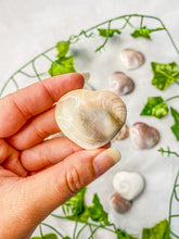 Load image into Gallery viewer, Shiva Shell Heart (wish upon an ocean)