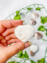 Load image into Gallery viewer, Shiva Shell Heart (wish upon an ocean)