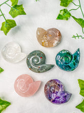 Load image into Gallery viewer, Crystal Ammonite Shell Carving