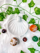 Load image into Gallery viewer, Seashell Clam Bowl