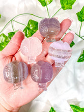 Load image into Gallery viewer, Fluorite Ladybug