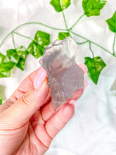 Load image into Gallery viewer, Fluorite Conch Shell