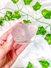 Load image into Gallery viewer, Fluorite Clam Shell