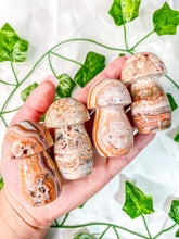 Load image into Gallery viewer, Pink Crazy Lace Agate Mushroom