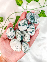 Load image into Gallery viewer, Tree Agate Tumbled Stones