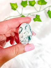Load image into Gallery viewer, Tree Agate Tumbled Stones
