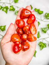 Load image into Gallery viewer, Carnelian Tumbled Stones
