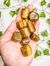 Load image into Gallery viewer, Tiger's Eye Tumbled Stones