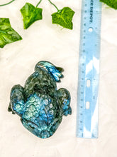 Load image into Gallery viewer, Labradorite Money Toad #3