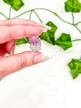 Load image into Gallery viewer, Mini Fluorite Medusa