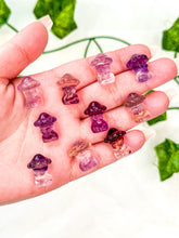 Load image into Gallery viewer, Mini Fluorite Mushroom Body