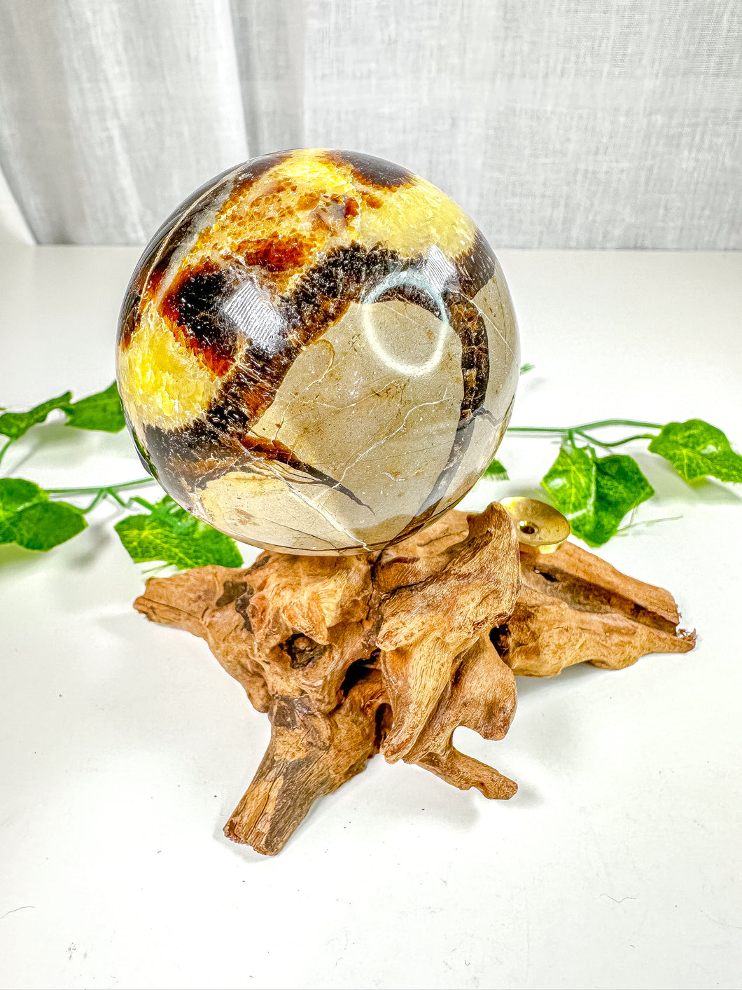 Septarian Sphere (48X)