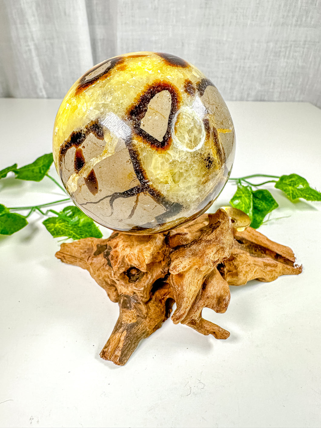 Septarian Sphere (48R)