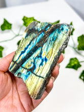 Load image into Gallery viewer, Labradorite Slab (22A)

