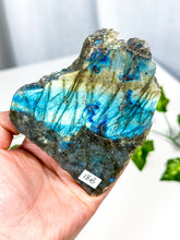 Load image into Gallery viewer, Labradorite Slab (18B)
