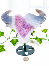 Load image into Gallery viewer, Druzy Amethyst Agate Bull on Stand (55A)
