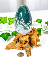 Load image into Gallery viewer, Moss Agate Egg (25D)

