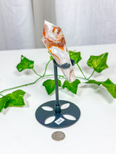 Load image into Gallery viewer, Crazy Lace Agate Wand on Stand (36B)
