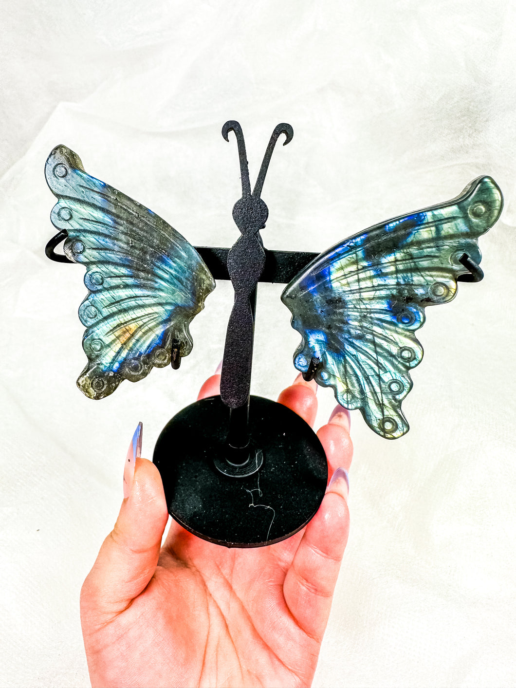 Labradorite Butterfly Wings on Stand (40V)