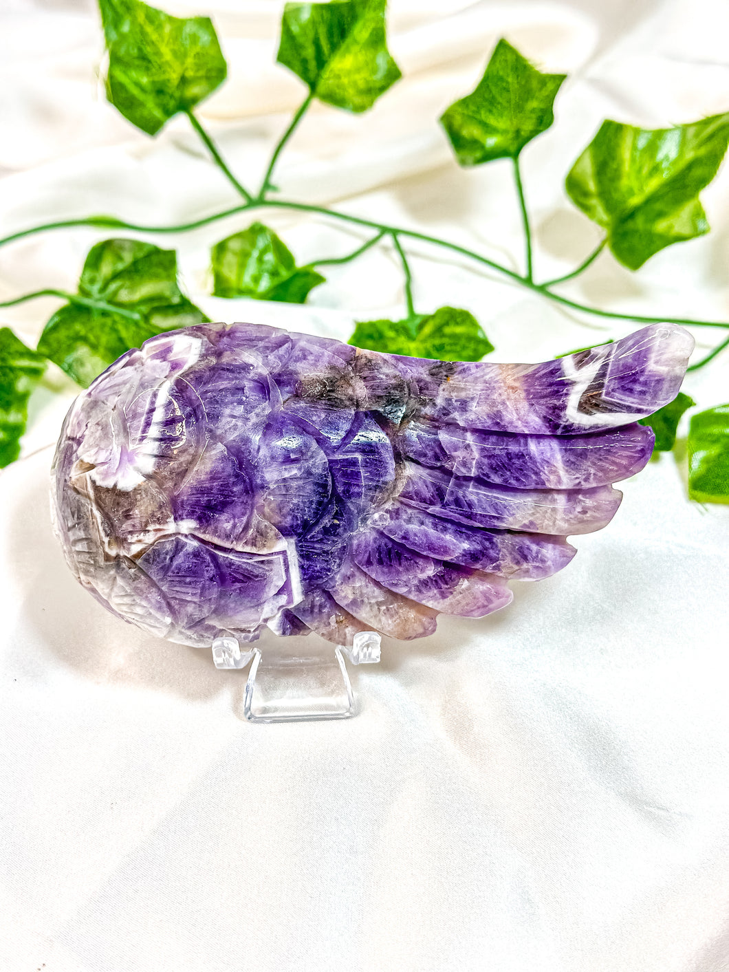 Chevron Amethyst Angel Wing (55B)