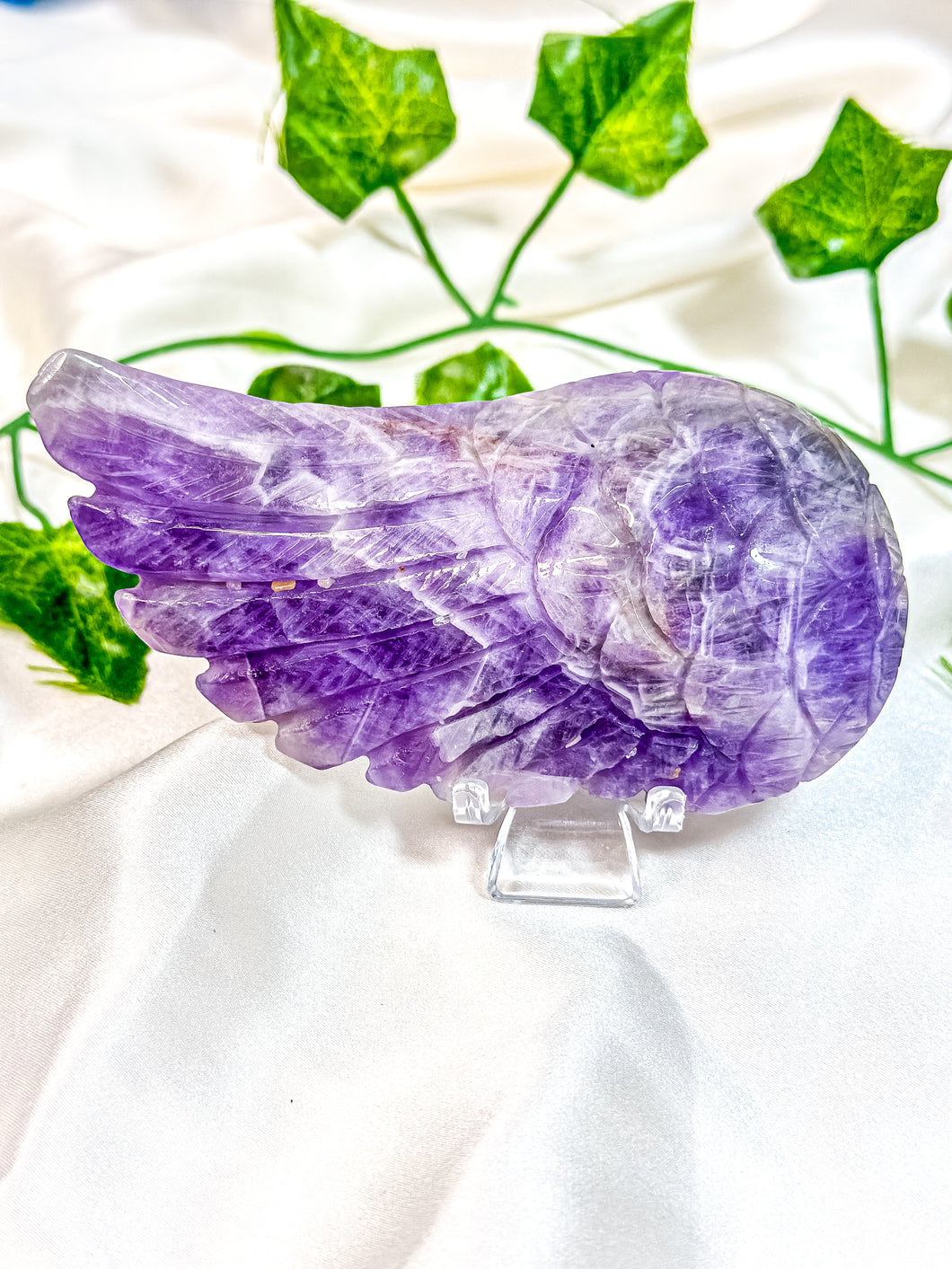 Chevron Amethyst Angel Wing (55F)