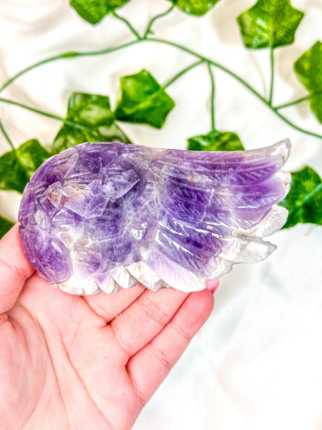 Chevron Amethyst Angel Wing (55J)