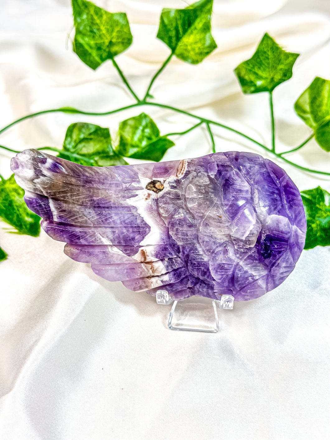 Chevron Amethyst Angel Wing (55I)