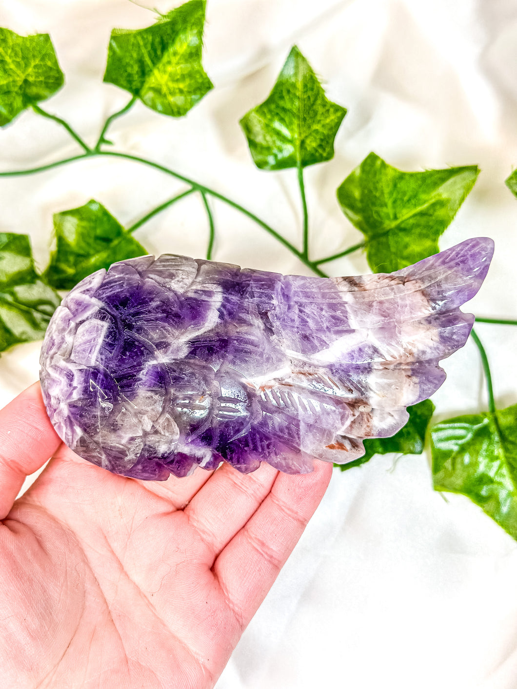 Chevron Amethyst Angel Wing (55N)