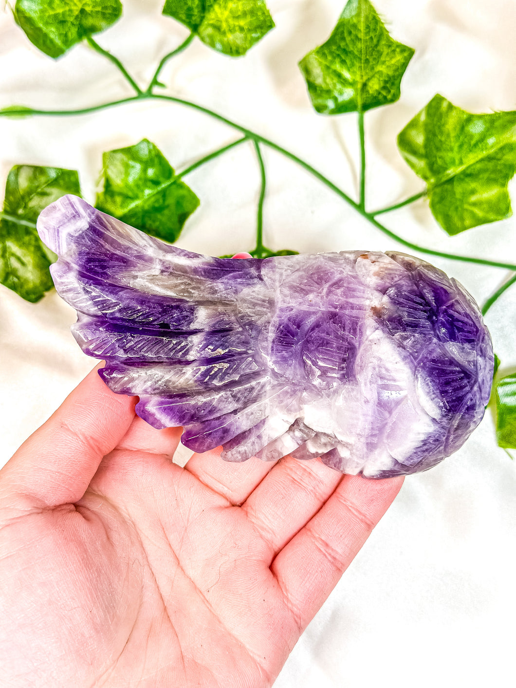 Chevron Amethyst Angel Wing (55M)