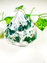 Load image into Gallery viewer, Moss Agate Gem Cut Diamond (40D)
