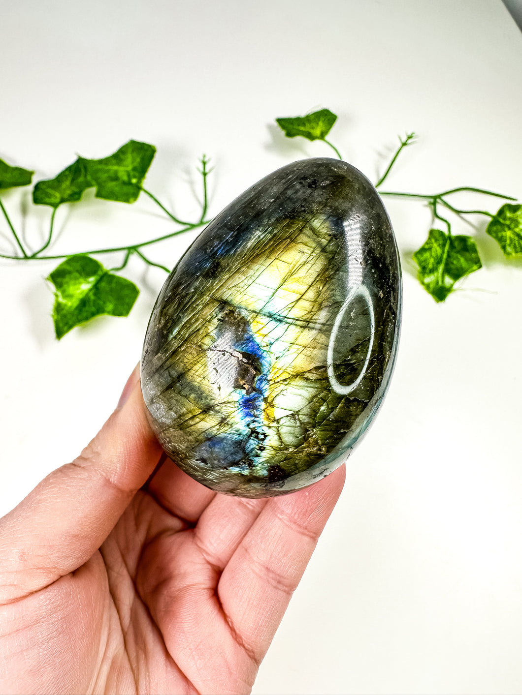 Labradorite Egg (56o)