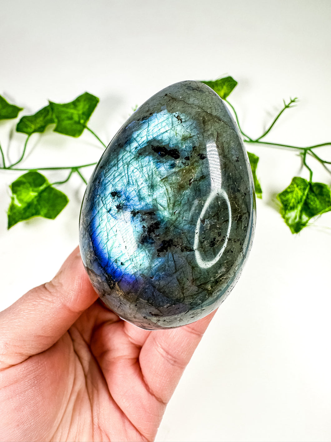 Labradorite Egg (35T)