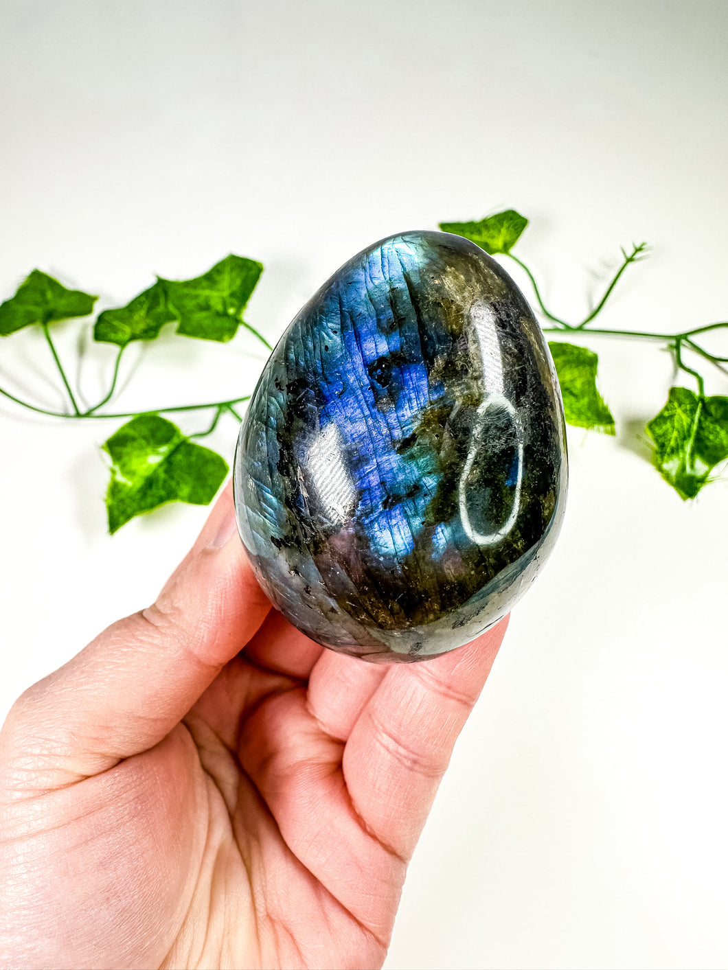 Labradorite Egg (28H)