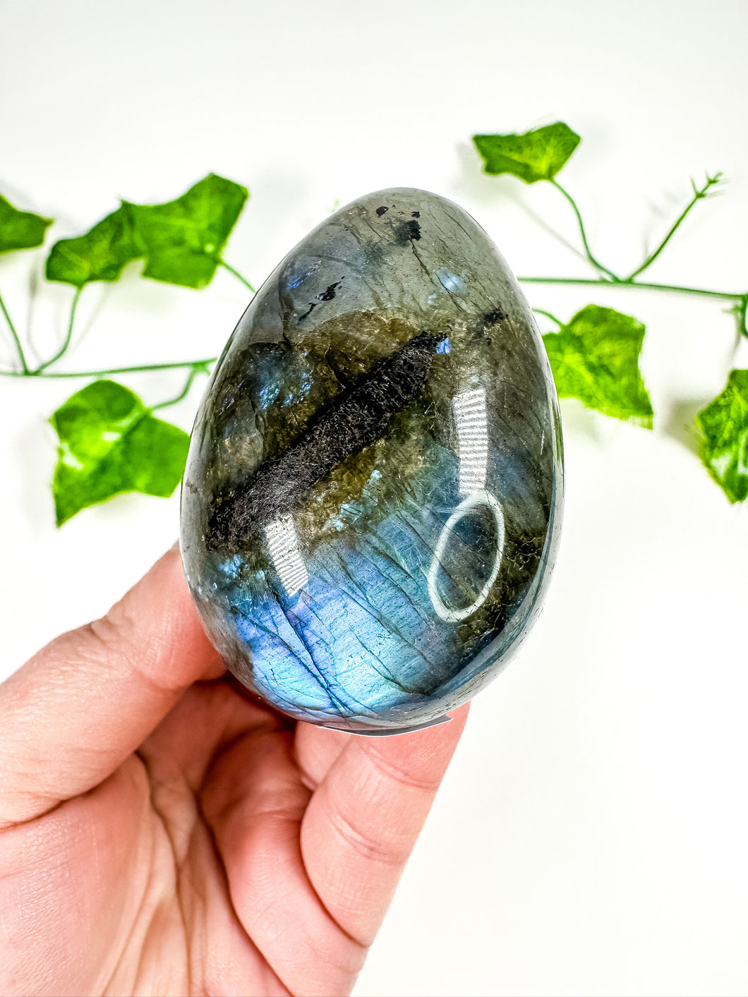 Labradorite Egg (26A)