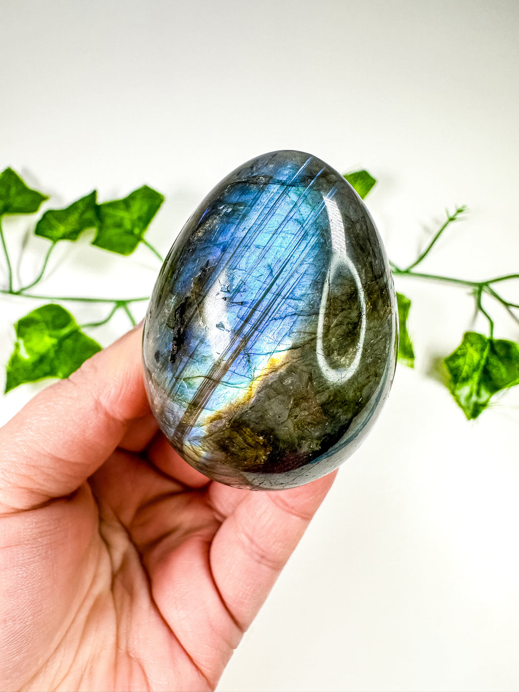 Labradorite Egg (24K)