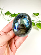 Load image into Gallery viewer, Labradorite Egg (23F)
