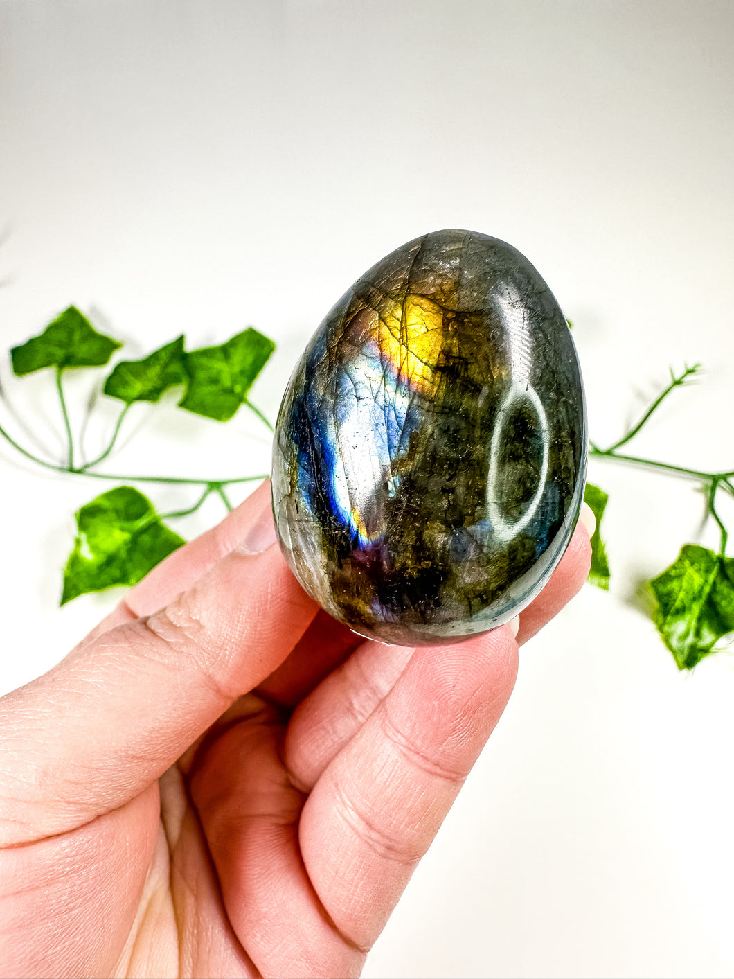 Labradorite Egg (22B)