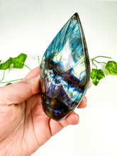 Load image into Gallery viewer, Labradorite Flame (38o)
