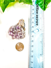 Load image into Gallery viewer, Grape Agate Cluster (23i)
