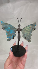 Load and play video in Gallery viewer, Labradorite Butterfly Wings on Stand (40B)
