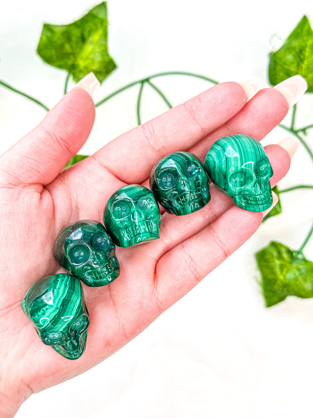 Malachite Skull (S)