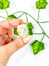 Load image into Gallery viewer, Green Flower Agate Tumbled Stones
