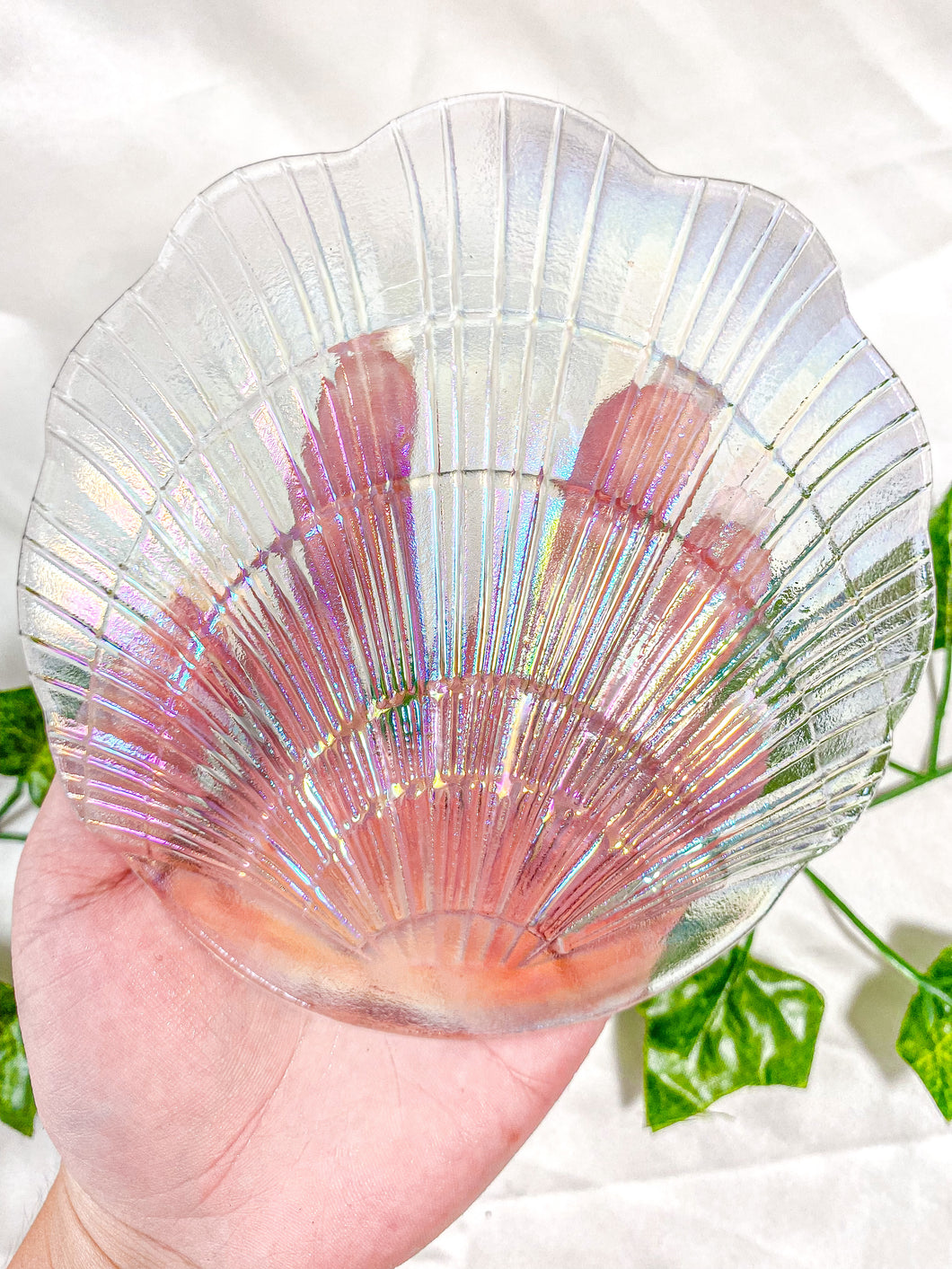 Aura Glass Shell Bowl